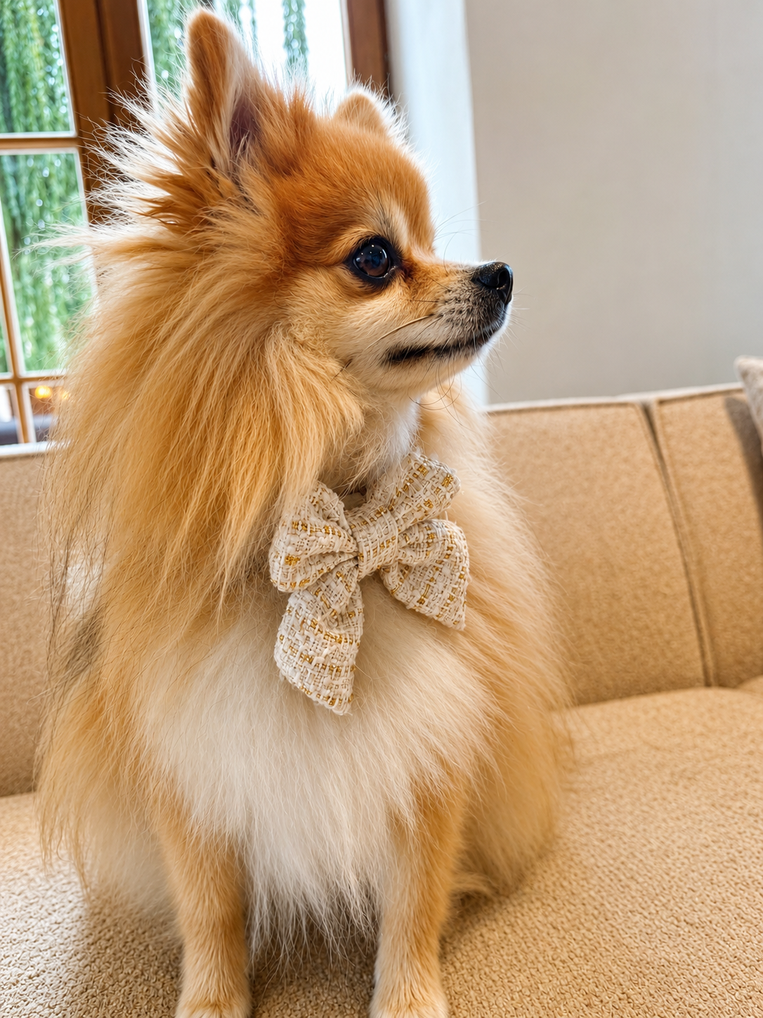 Vanille Tweed sailor strik voor honden