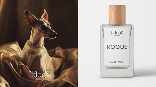 Hondenparfum Geur Spray - 100 ml - L'floof ROGUE