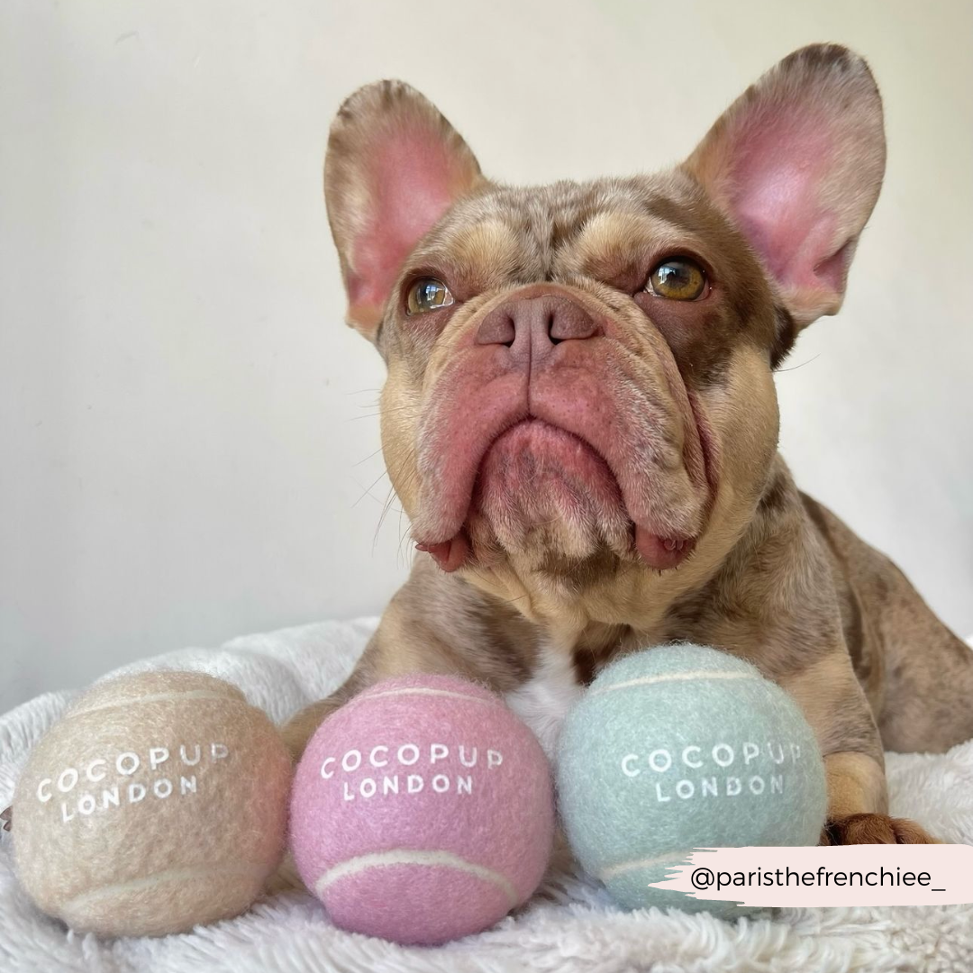 Tennisbal - Salted Caramel