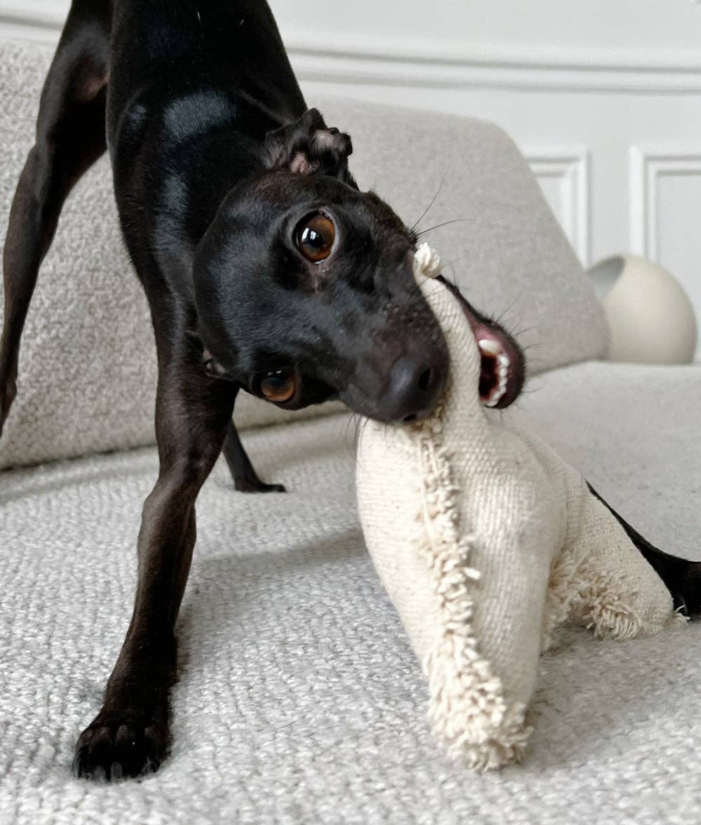 Fleky Bone- wit hondenspeeltje van biologisch katoen