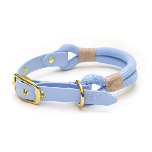 Polar Blue hondenhalsband