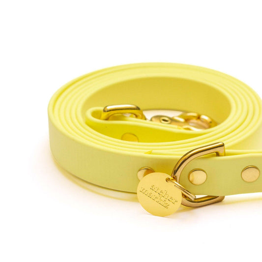 Pastelgele riem - Vergulde details