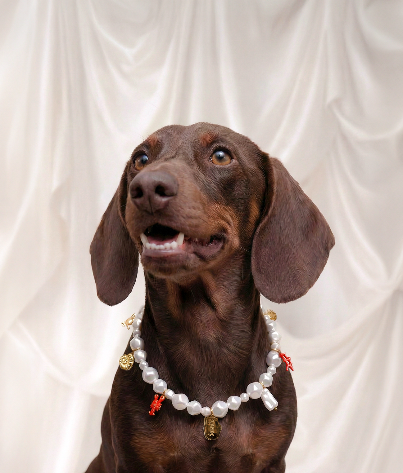 Halsband met charms Hond Koraal, Sira