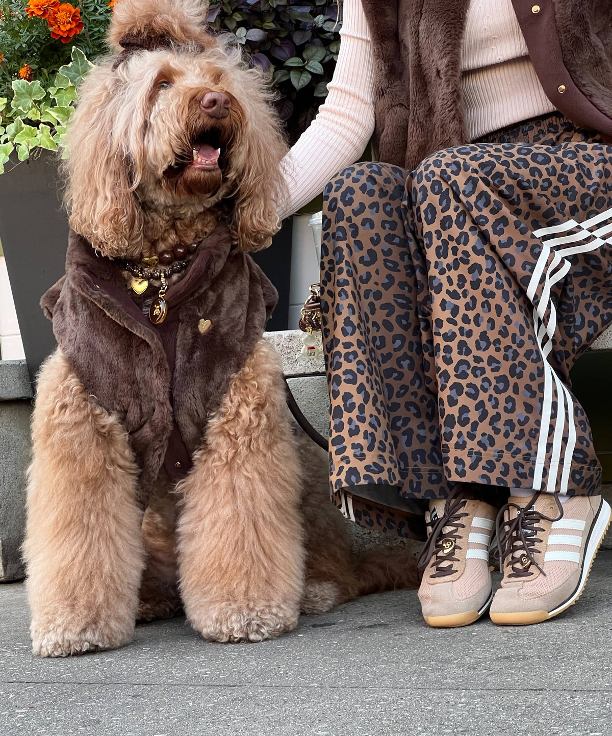 Furlowe Hondenvest - Mocha