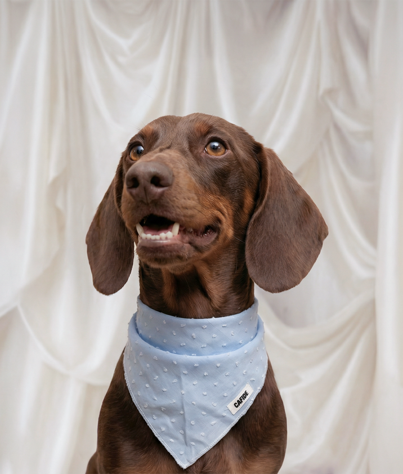 Hondenbandana Plumeti-design Blauw, Crème
