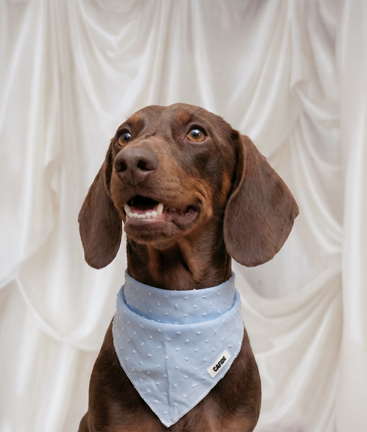 Hondenbandana Plumeti-design Blauw, Crème