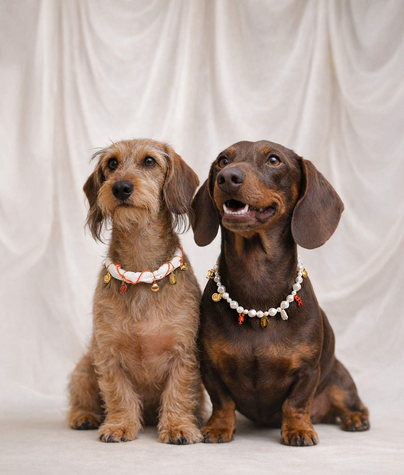 Halsband met charms Hond Koraal, Sira