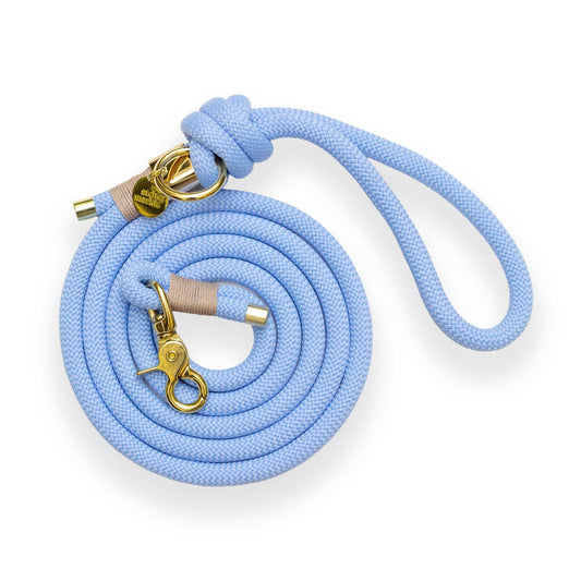 Polar blauwe hondenriem van touw: Verguld / 10 mm / Handsfree riem van 240 cm