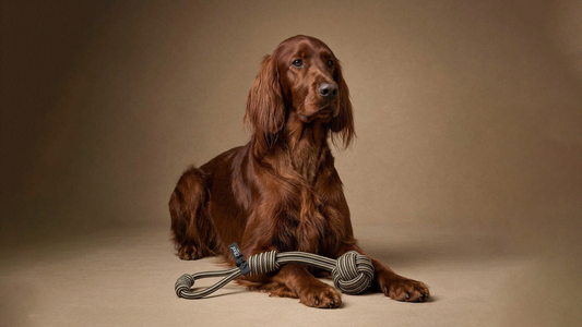 L'floof The Loop - Touwspeeltje voor honden