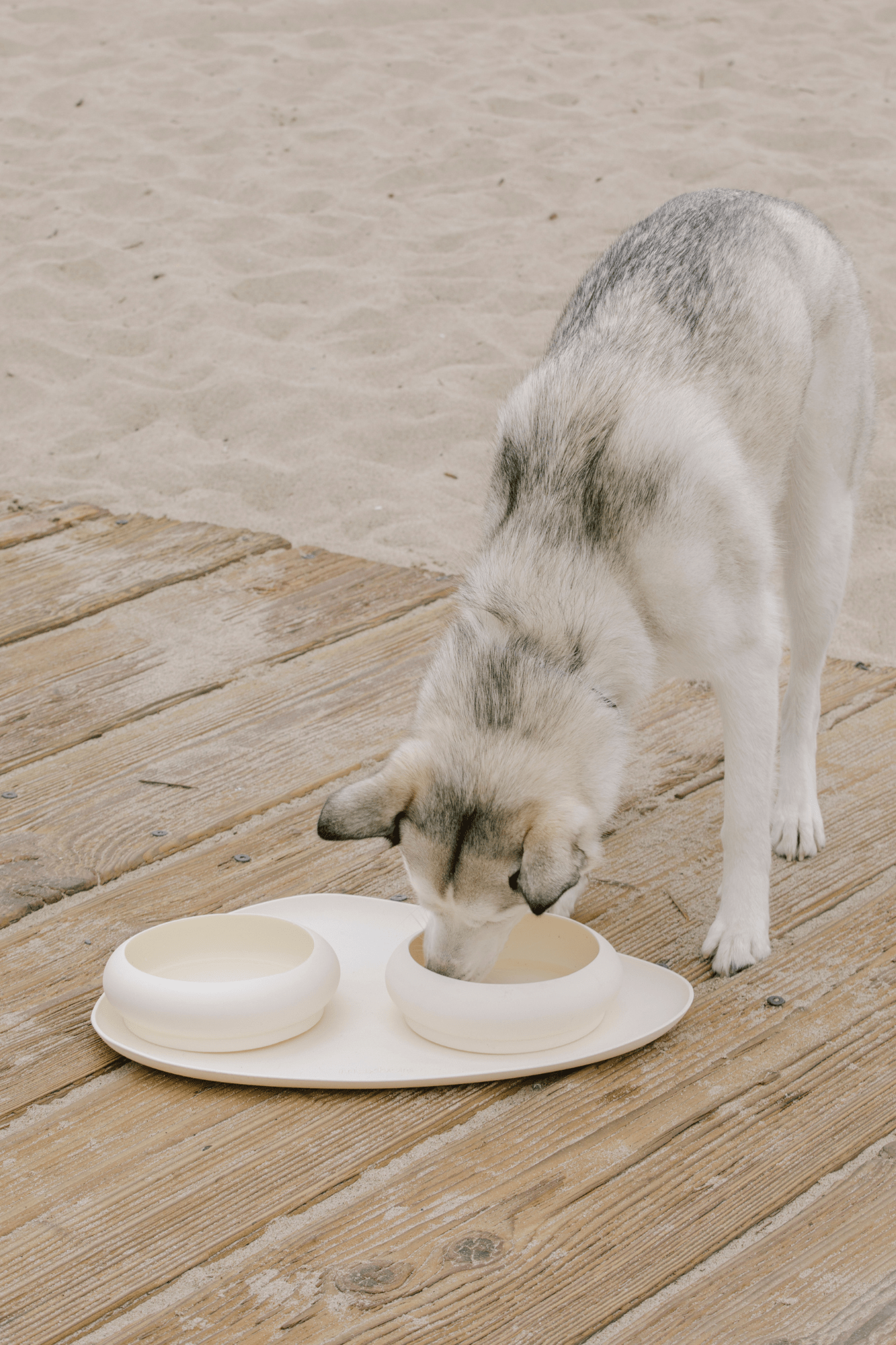 Bubble kommen en mat set voor honden