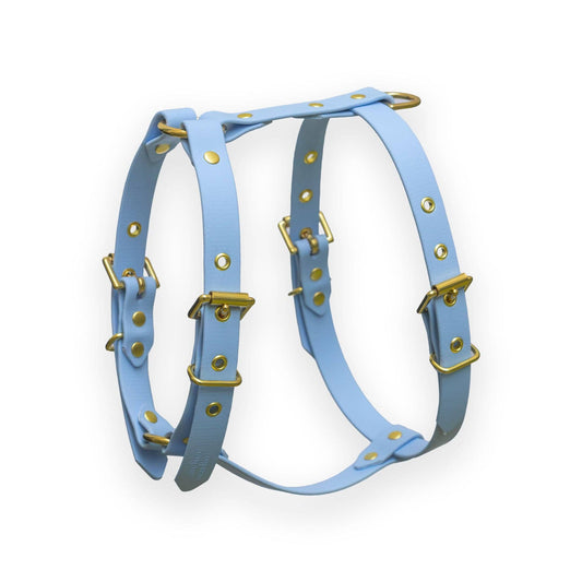 Poolblauw Harnas