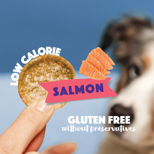 Smoofl Dog Chips – Zalm